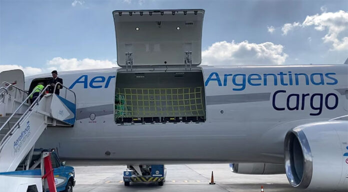 Aerolíneas Argentinas se suma al boom de las compras “puerta a puerta”: cómo traer productos desde EEUU