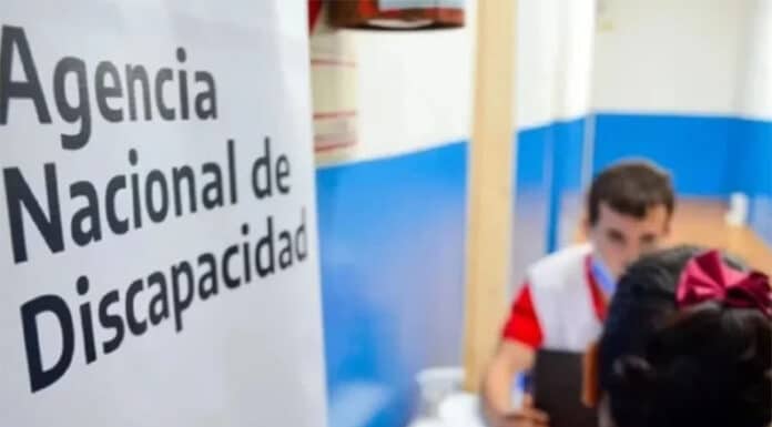 “Idiota”, “imbécil”, “débil mental” y “retardado”: el Gobierno dio marcha con polémica resolución