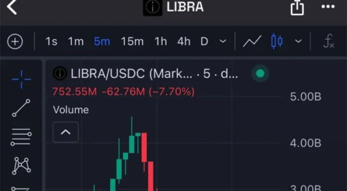 Paso a paso: ¿cómo fue la maniobra con la cripto que promocionó Milei?