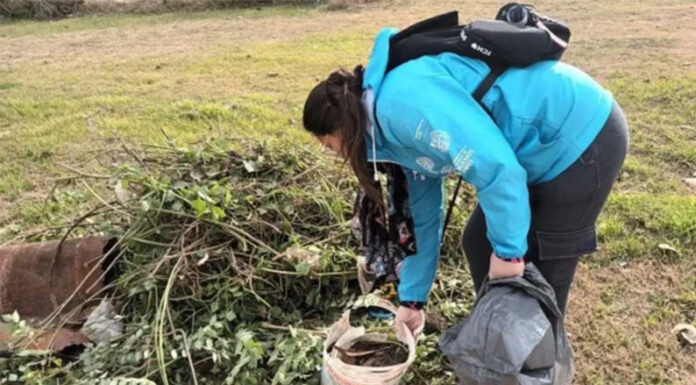 Dengue: la Provincia realiza una campaña de limpieza y descacharrado en municipios