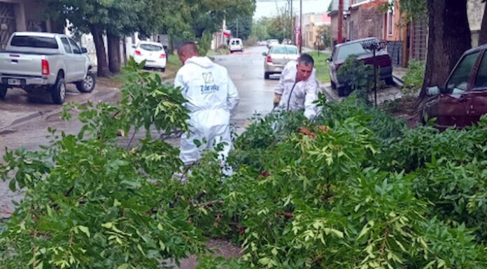 En Zárate, la tormenta de la madrugada activó tareas a la Cooperativa Eléctrica y al Municipio.
