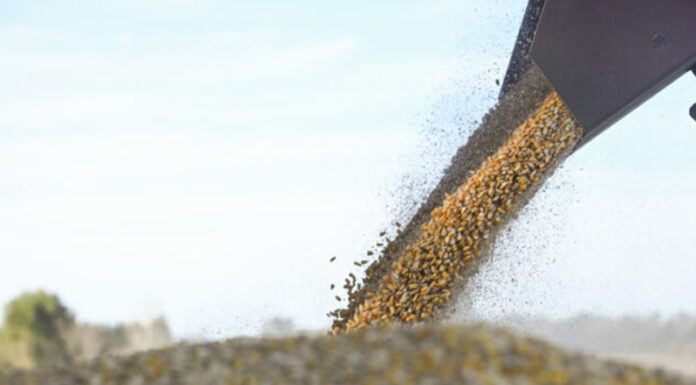 Para calmar al dólar, el Gobierno anunció retenciones cero a todos los granos