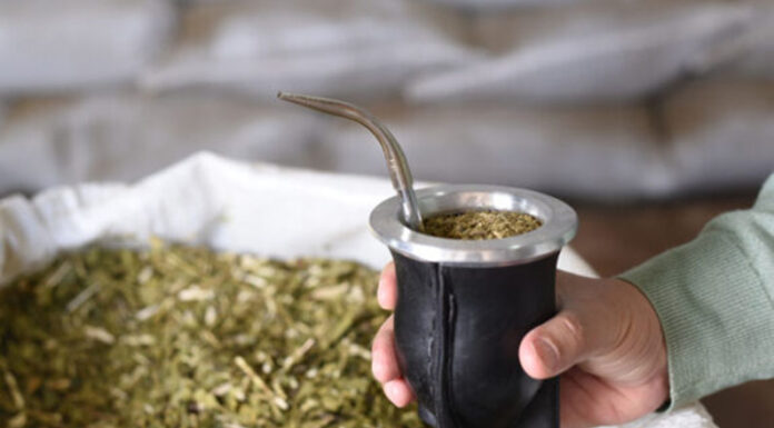 Mate, ciencia y salud bucal: cómo la infusión podría ayudar a proteger los dientes