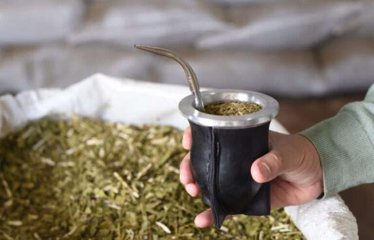 Mate, ciencia y salud bucal: cómo la infusión podría ayudar a proteger los dientes