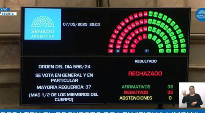 “Ficha Limpia” no es ley: por un voto, la Cámara de Senadores rechazó el proyecto