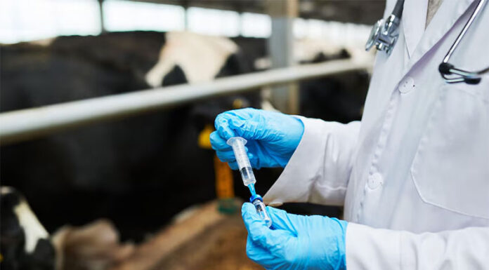 Luego de desarticular el régimen fueguino, ahora el Gobierno va por los monopolios en el sector de laboratorios