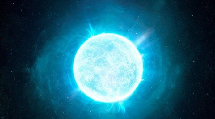 Investigadores argentinos descubrieron una estrella «enana blanca»: se conocen solo 8 en toda la galaxia con sus mismas características