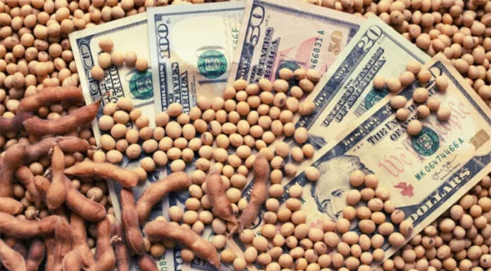 Dato clave para el plan económico del gobierno: el campo liquidó en abril un 32% más