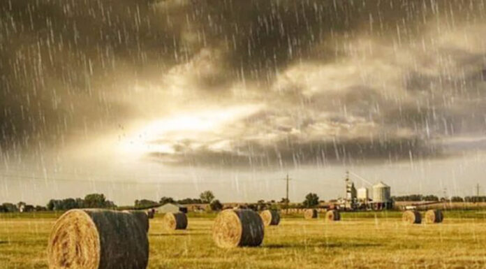 Lluvias, protagonistas: el norte bonaerense, pasado por agua en lo que va de mayo