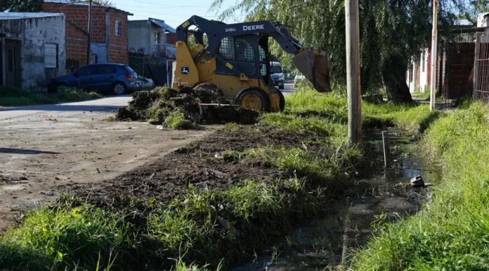 En Zárate se intensifican las tareas de limpieza y mantenimiento urbano en varios lugares