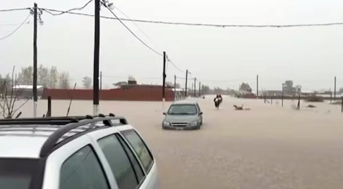 Zárate en emergencia: alerta roja y operativos de rescate ante las inundaciones con casi 200 evacuados