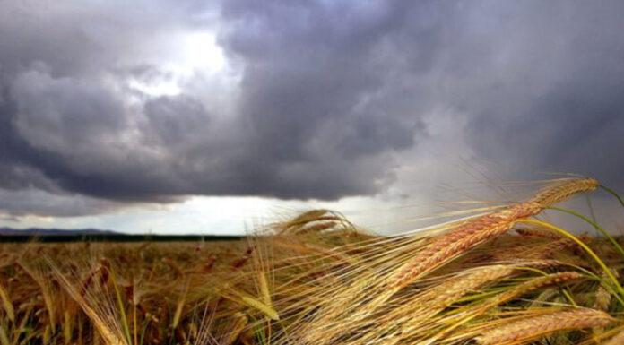 Lluvias y temperaturas: ¿cómo será la tendencia climática para mayo, junio y julio en distritos bonaerenses?