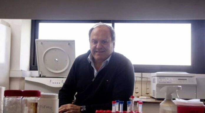 Alergia a la leche de vaca: la UNLP desarrolla una vacuna para tratar la problemática alimentaria frecuente