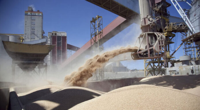 Baja de retenciones: cómo queda el gravámen para cada producto