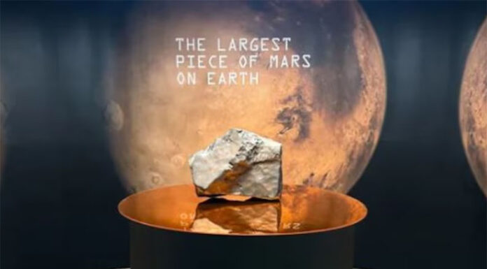 Una roca de Marte de 25 kilos será subastada en Nueva York: podría superar los USD 4 millones
