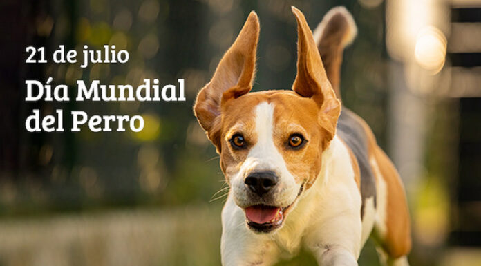 Este 21 de julio, con las efemérides de hoy, compartimos el latido animal que une a Zárate