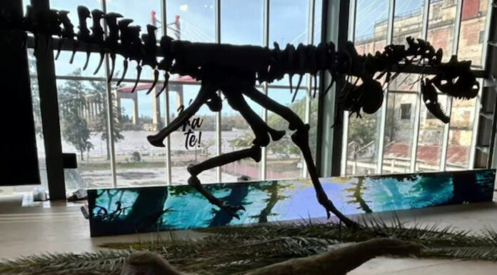 En Zárate se exhiben dinosaurios y animales prehistóricos en el Espacio DAM