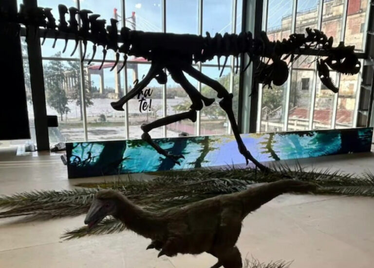 En Zárate se exhiben dinosaurios y animales prehistóricos en el Espacio DAM