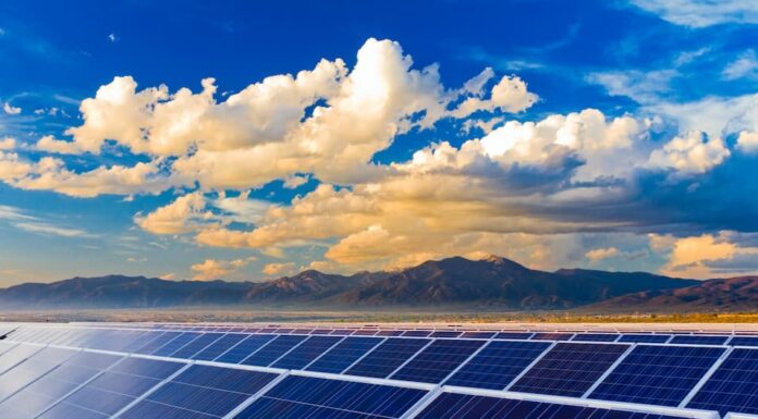 Bayer y MSU Green Energy impulsan la transición energética en el agro con un acuerdo de abastecimiento solar