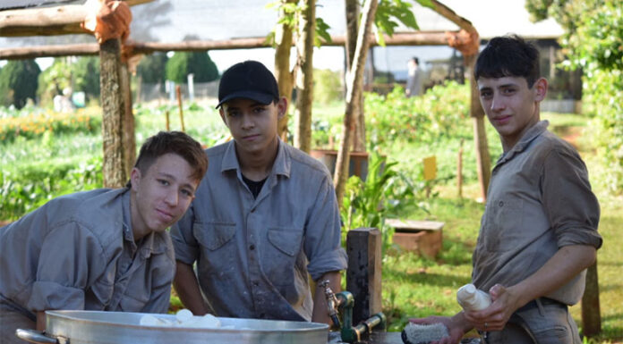 Productos gastronómicos con impacto social: cómo las empresas pueden generar valor apoyando la educación técnica en Argentina