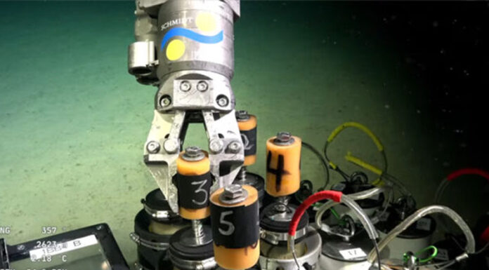 La expedición submarina del Conicet y el Schmidt Ocean Institute toma nuevos rumbos: cómo sigue y cuándo vuelve al Mar Argentino