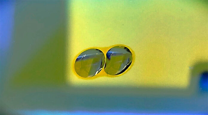 CONICET: Un nuevo comportamiento del agua, la llave para impulsar innovaciones inéditas en la industria