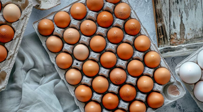 Consumo récord de huevos en Argentina: cuáles son sus beneficios para la salud y cuántos se pueden comer por semana