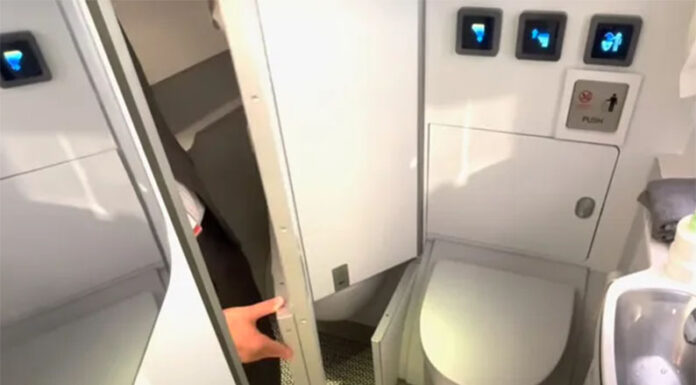 Los inodoros de los aviones y un hallazgo inquietante de la ciencia en la lucha contra las superbacterias