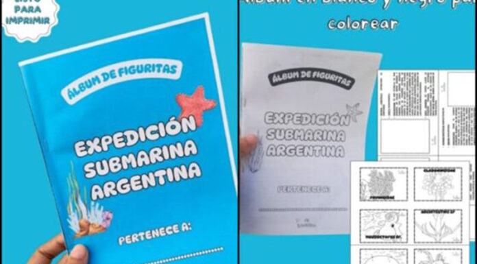 Álbum de figuritas de la expedición submarina del Conicet: una iniciativa lúdica para seguir aprendiendo