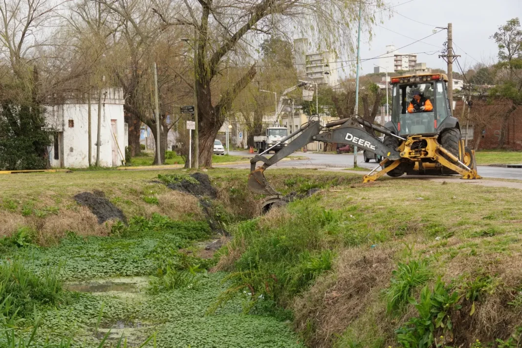 image - 2025-08-18T203856.381