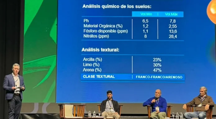 Desde Zárate, novedades sobre el cultivo de maíz en la pampa semiárida, que transformó una utopía en un modelo productivo