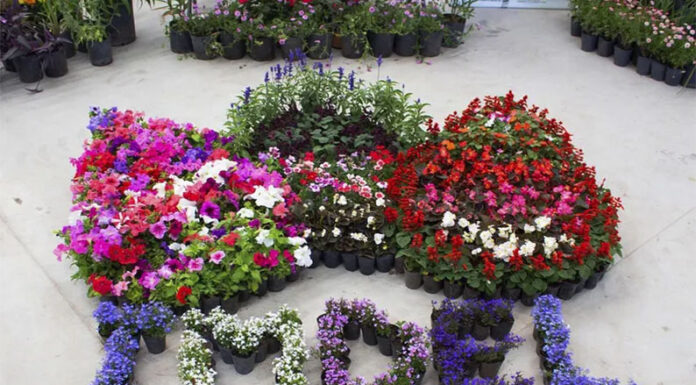 Se palpita la primavera y la provincia de Buenos Aires lo sabe