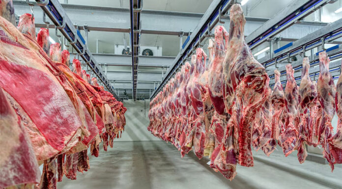 El Gobierno extendió la quita temporal de retenciones también a las carnes bovinas y avícolas