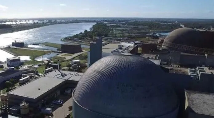 El Gobierno confirma que privatizará la empresa que opera las tres centrales nucleares de la Argentina