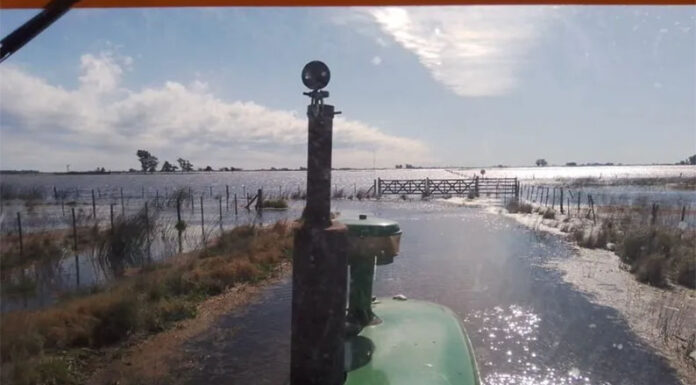 Ya hay dos millones de hectáreas afectadas por las inundaciones en la provincia: “sumamente crítico”