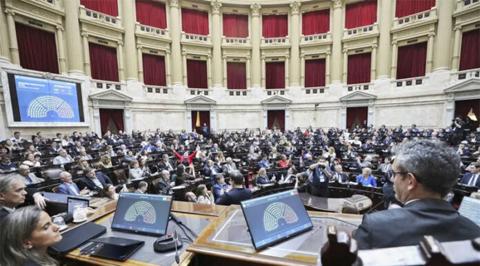 Diputados rechazó el veto del Ejecutivo a las leyes de financiamiento en pediatría y universitario