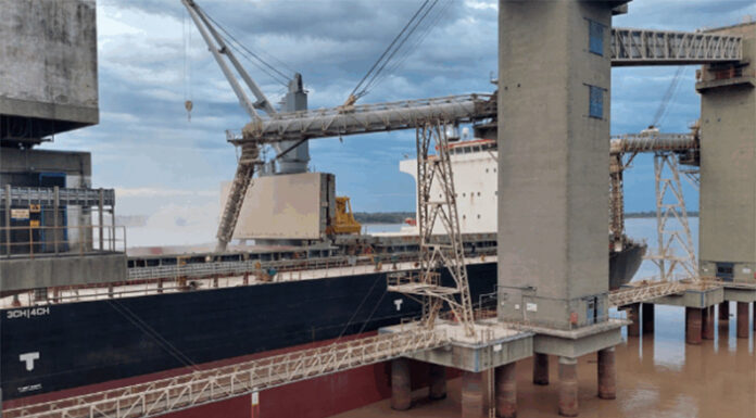 Europa exigirá soja libre de deforestación: ¿Cuánto podríamos perder y cuánto sale adaptarse?