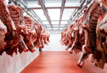 Angus Argentina: llamado a fortalecer la cadena de la carne y reconocer el valor de la genética