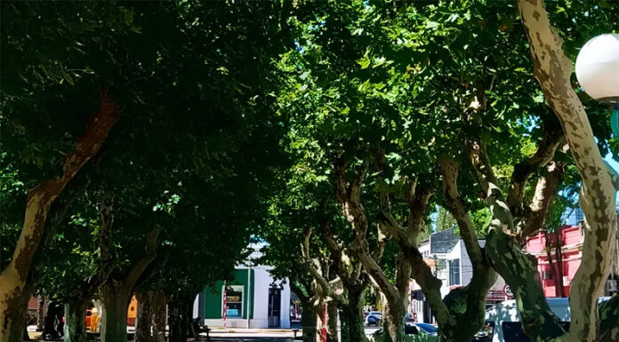 Lima, el secreto bonaerense: playas doradas, parrillas y energía nuclear a orillas del Paraná