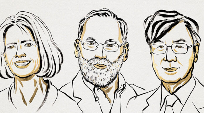 ¿Cómo controla el cuerpo el sistema inmunitario?: La pregunta que le dio el Nobel de Medicina a tres investigadores