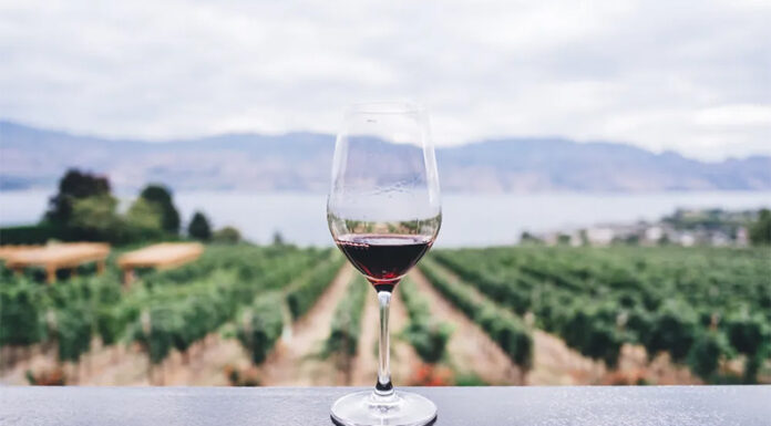 El Gobierno eliminó 973 normas y desregula la industria del vino: cuáles son los cambios