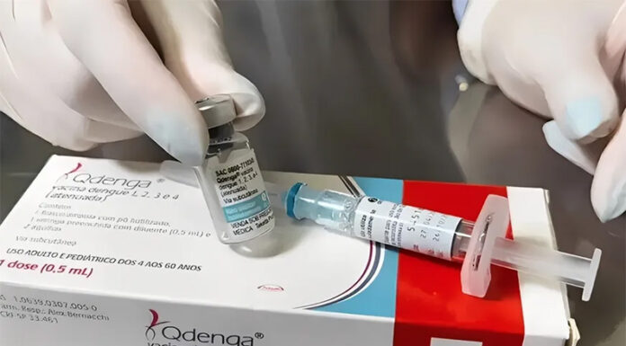 Dengue: confirman que la vacuna tetravalente protege por siete años