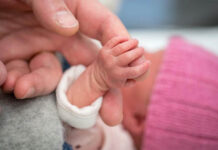 Semana de la Prematurez: en Argentina nacen 43 mil bebés prematuros al año, la importancia de los controles previos y cómo evolucionó la atención en los primeros días de vida