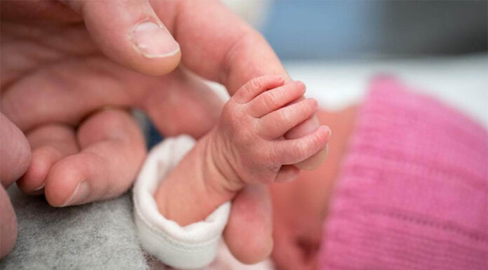 Semana de la Prematurez: en Argentina nacen 43 mil bebés prematuros al año, la importancia de los controles previos y cómo evolucionó la atención en los primeros días de vida