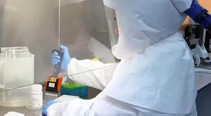 Salud confirmó que la gripe H3N2 llegó a la Argentina: hay dos adolescentes y un niño infectados