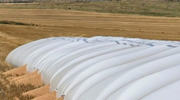 Piden penas de hasta cinco años de cárcel para quienes ataquen silobolsas