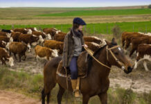 Manos que cuidan la tierra, agro que cuida el futuro