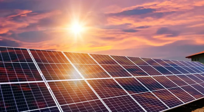 Avanza el Parque Fotovoltaico Zárate con la adhesión de tres empresas por el mismo compromiso energético