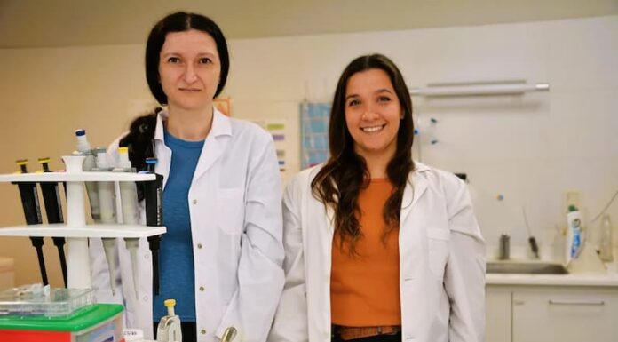 Avances para el tratamiento de los tumores de mama con aportes bonaerenses