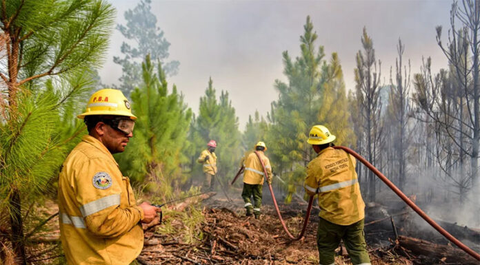 Cuáles son las regiones bonaerenses con “riesgo extremo” por los incendios